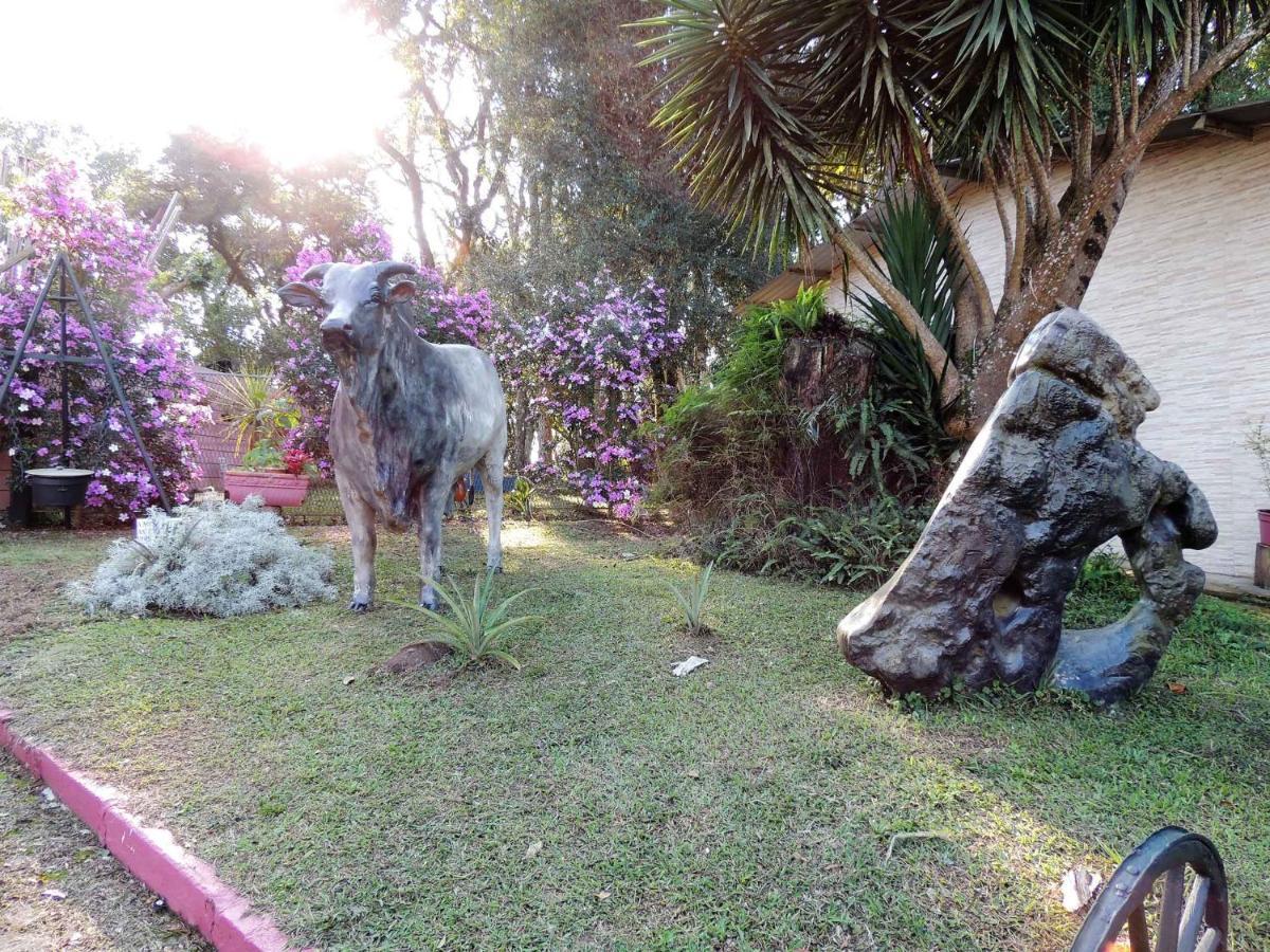 Pousada Juriti - Eco Hotel São Roque Eksteriør bilde